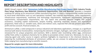 Ammonium Sulfide Manufacturing Plant Project Report.pptx