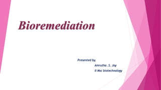 Bioremediation
Presented by,
Amrutha .S. Joy
II Msc biotechnology
 