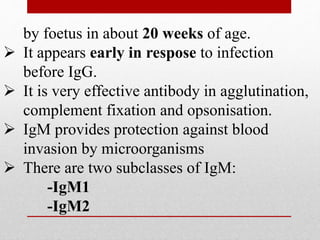by foetus in about 20 weeks of age.
 It appears early in respose to infection
before IgG.
 It is very effective antibody in agglutination,
complement fixation and opsonisation.
 IgM provides protection against blood
invasion by microorganisms
 There are two subclasses of IgM:
-IgM1
-IgM2
 