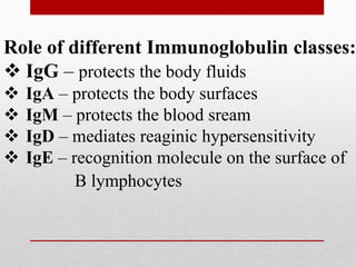 Role of different Immunoglobulin classes:
 IgG – protects the body fluids
 IgA – protects the body surfaces
 IgM – protects the blood sream
 IgD – mediates reaginic hypersensitivity
 IgE – recognition molecule on the surface of
B lymphocytes
 