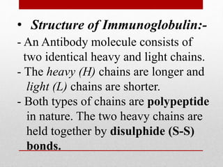 • Structure of Immunoglobulin:-
- An Antibody molecule consists of
two identical heavy and light chains.
- The heavy (H) chains are longer and
light (L) chains are shorter.
- Both types of chains are polypeptide
in nature. The two heavy chains are
held together by disulphide (S-S)
bonds.
 