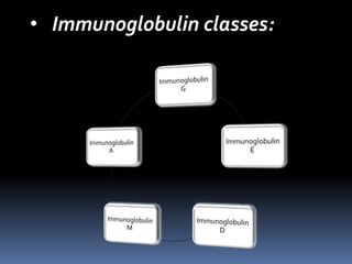 • Immunoglobulin classes:
 