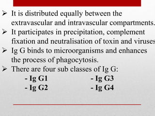  It is distributed equally between the
extravascular and intravascular compartments.
 It participates in precipitation, complement
fixation and neutralisation of toxin and viruses
 Ig G binds to microorganisms and enhances
the process of phagocytosis.
 There are four sub classes of Ig G:
- Ig G1 - Ig G3
- Ig G2 - Ig G4
 