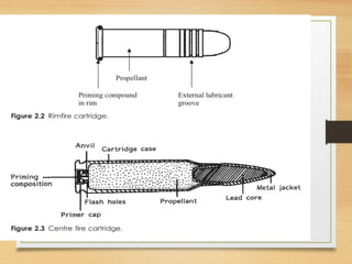 09/22/2024
Nandini Katare@KJC 12
 