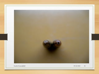 09/22/2024
Nandini Katare@KJC 58
 