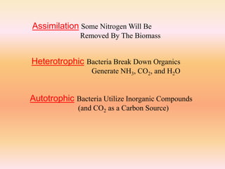 Heterotrophic Bacteria Break Down Organics
Generate NH3, CO2, and H2O
Autotrophic Bacteria Utilize Inorganic Compounds
(and CO2 as a Carbon Source)
Assimilation Some Nitrogen Will Be
Removed By The Biomass
 