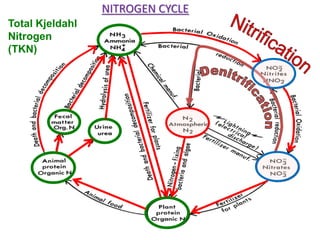 Total Kjeldahl
Nitrogen
(TKN)
NITROGEN CYCLE
 