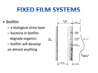 • Biofilm
– a biological slime layer
– bacteria in biofilm
degrade organics
– biofilm will develop
on almost anything
 