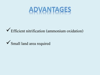 Efficient nitrification (ammonium oxidation)
Small land area required
 
