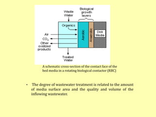 A schematic cross-section of the contact face of the
bed media in a rotating biological contactor (RBC)
• The degree of wastewater treatment is related to the amount
of media surface area and the quality and volume of the
inflowing wastewater.
 