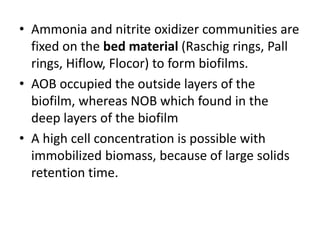 • Ammonia and nitrite oxidizer communities are
fixed on the bed material (Raschig rings, Pall
rings, Hiflow, Flocor) to form biofilms.
• AOB occupied the outside layers of the
biofilm, whereas NOB which found in the
deep layers of the biofilm
• A high cell concentration is possible with
immobilized biomass, because of large solids
retention time.
 