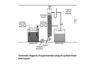 Schematic diagram of experimental setup of up-flow fixed-
bed reactor
 