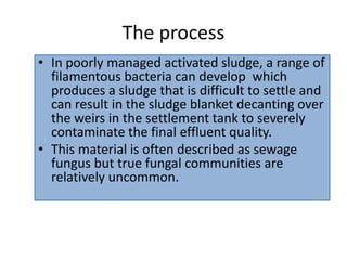 The process
• In poorly managed activated sludge, a range of
filamentous bacteria can develop which
produces a sludge that is difficult to settle and
can result in the sludge blanket decanting over
the weirs in the settlement tank to severely
contaminate the final effluent quality.
• This material is often described as sewage
fungus but true fungal communities are
relatively uncommon.
 