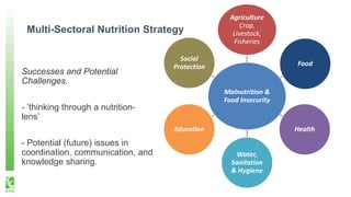 Multi-Sectoral Nutrition Strategy
Successes and Potential
Challenges.
- ’thinking through a nutrition-
lens’
- Potential (future) issues in
coordination, communication, and
knowledge sharing.
Malnutrition &
Food Insecurity
Agriculture
Crop,
Livestock,
Fisheries
Food
Health
Water,
Sanitation
& Hygiene
Education
Social
Protection
 