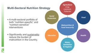 Multi-Sectoral Nutrition Strategy
 A multi-sectoral portfolio of
both “nutrition-specific” and
“nutrition-sensitive”
inte...