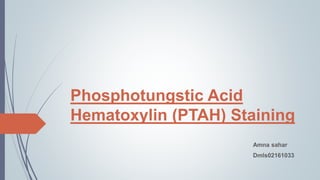 Phosphotungstic Acid
Hematoxylin (PTAH) Staining
Amna sahar
Dmls02161033
 