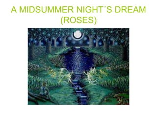A MIDSUMMER NIGHT´S DREAM
(ROSES)
 