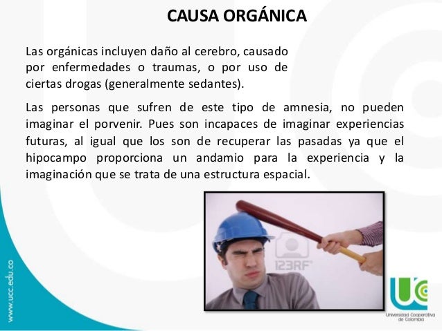 Amnesia 1