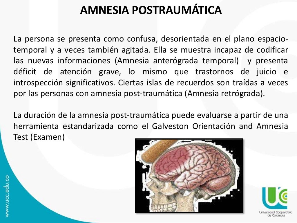 Amnesia (1)