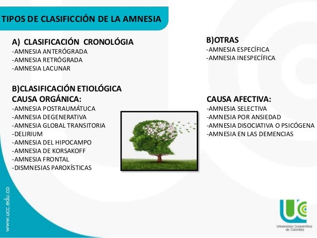 major types of amnesia
