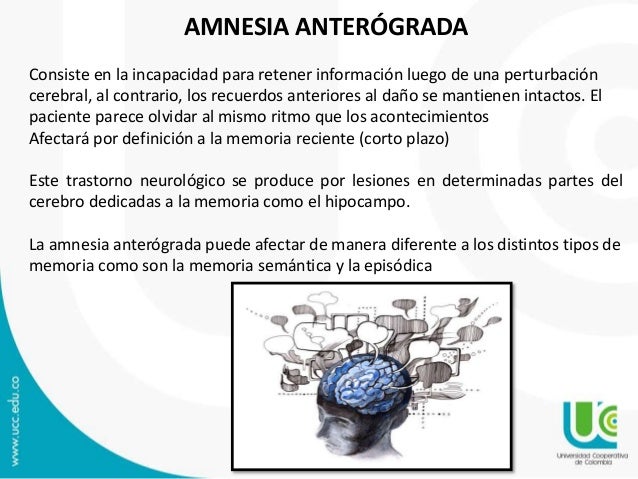 Amnesia (1)