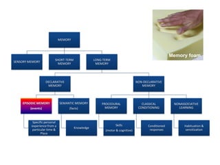 MEMORY
SENSORY MEMORY
SHORT-TERM
MEMORY
LONG-TERM
MEMORY
DECLARATIVE
MEMORY
EPISODIC MEMORY
(events)
Specific personal
experience from a
particular time &
Place
SEMANTIC MEMORY
(facts)
Knowledge
NON-DECLARATIVE
MEMORY
PROCEDURAL
MEMORY
Skills
(motor & cognitive)
CLASSICAL
CONDITIONING
Conditioned
responses
NONASSOCIATIVE
LEARNING
Habituation &
sensitization
Memory foam
 
