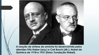 A reação de síntese da amônia foi desenvolvida pelos 
alemães Fritz Haber (esq.) e Carl Bosch (dir.), Nobel de 
Química de 1918 e 1931 (fotos: Fundação Nobel). 
 