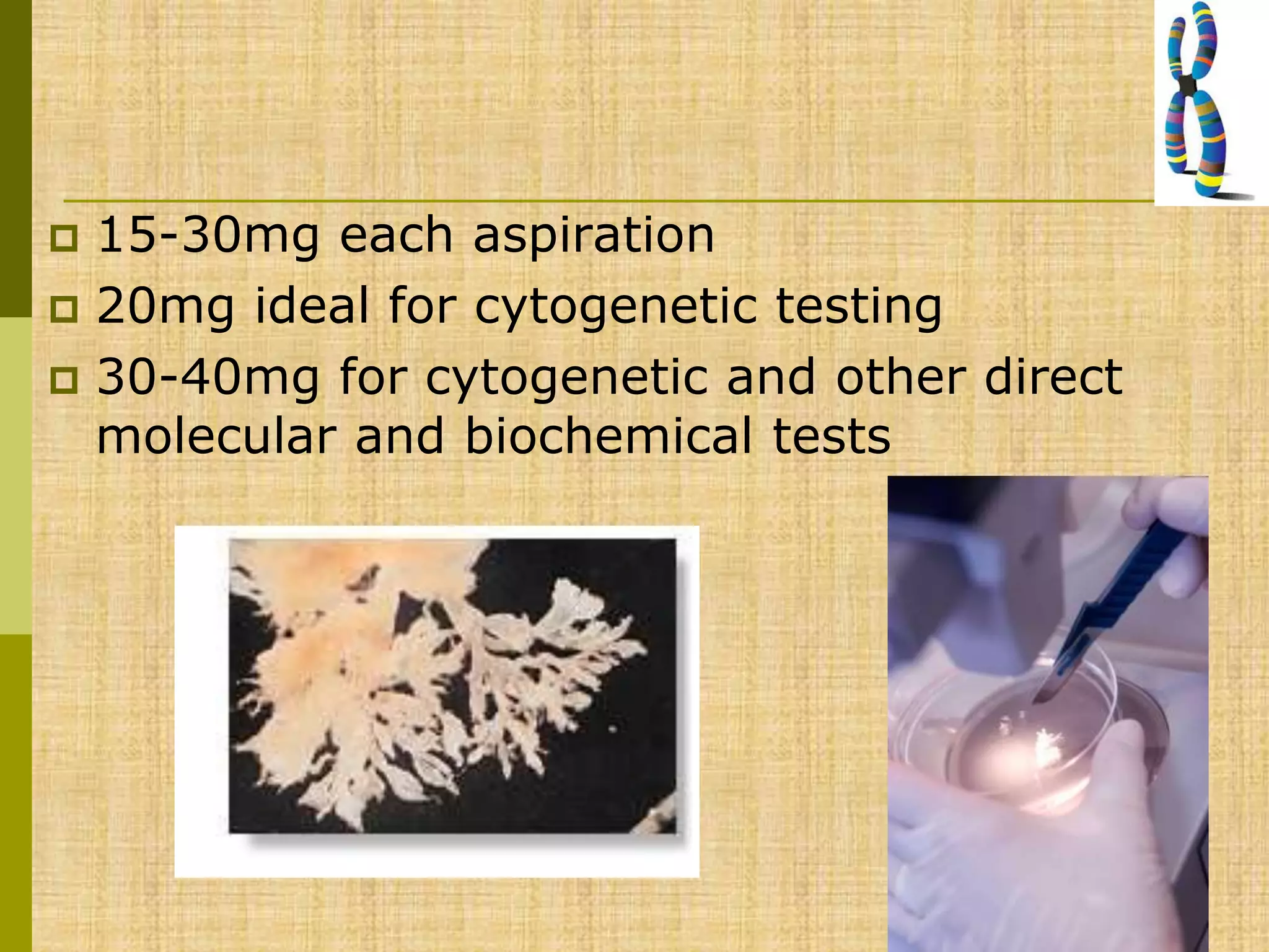  15-30mg each aspiration
 20mg ideal for cytogenetic testing
 30-40mg for cytogenetic and other direct
molecular and biochemical tests
 