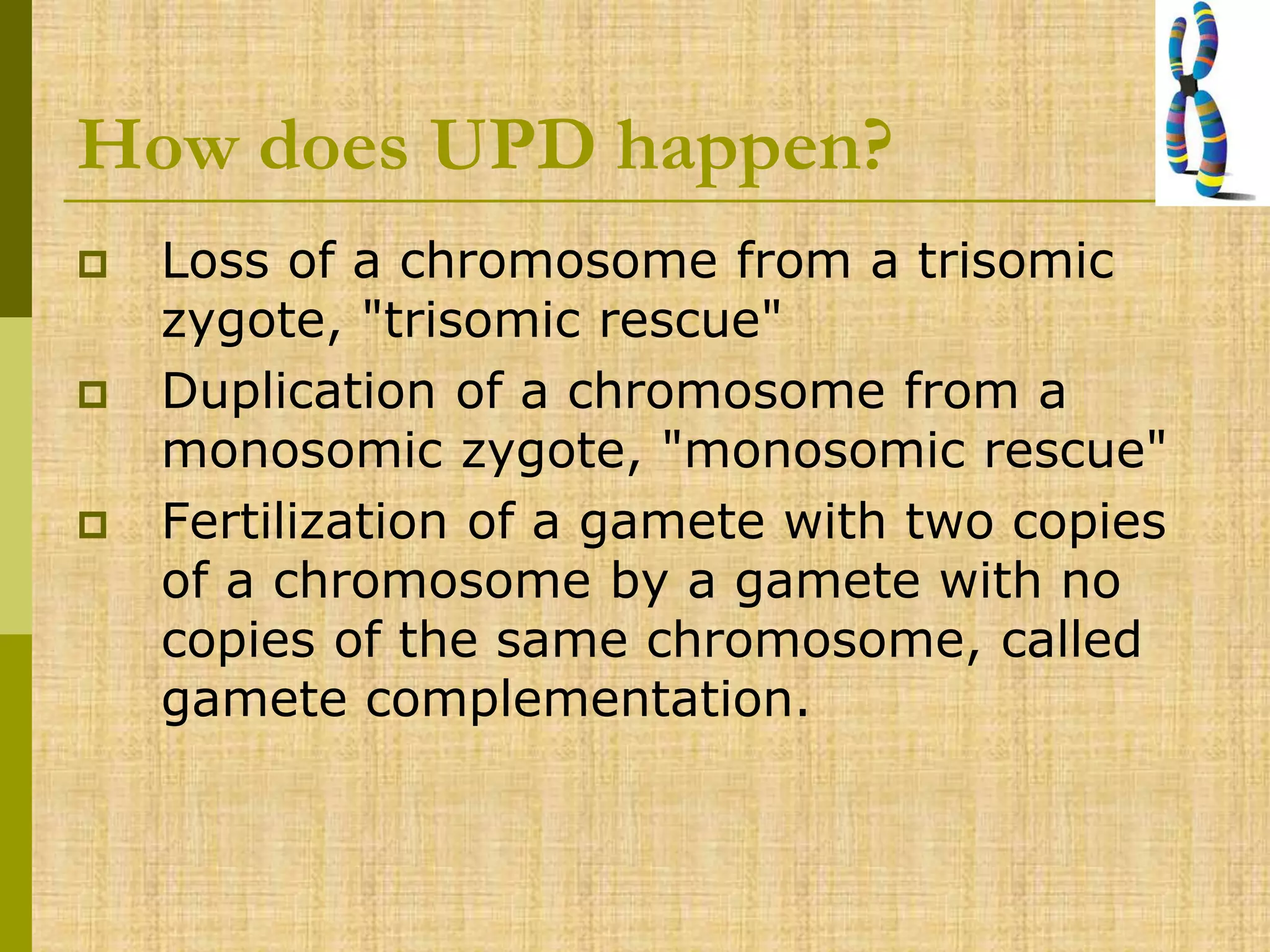 How does UPD happen?
 Loss of a chromosome from a trisomic
zygote, "trisomic rescue"
 Duplication of a chromosome from a
monosomic zygote, "monosomic rescue"
 Fertilization of a gamete with two copies
of a chromosome by a gamete with no
copies of the same chromosome, called
gamete complementation.
 