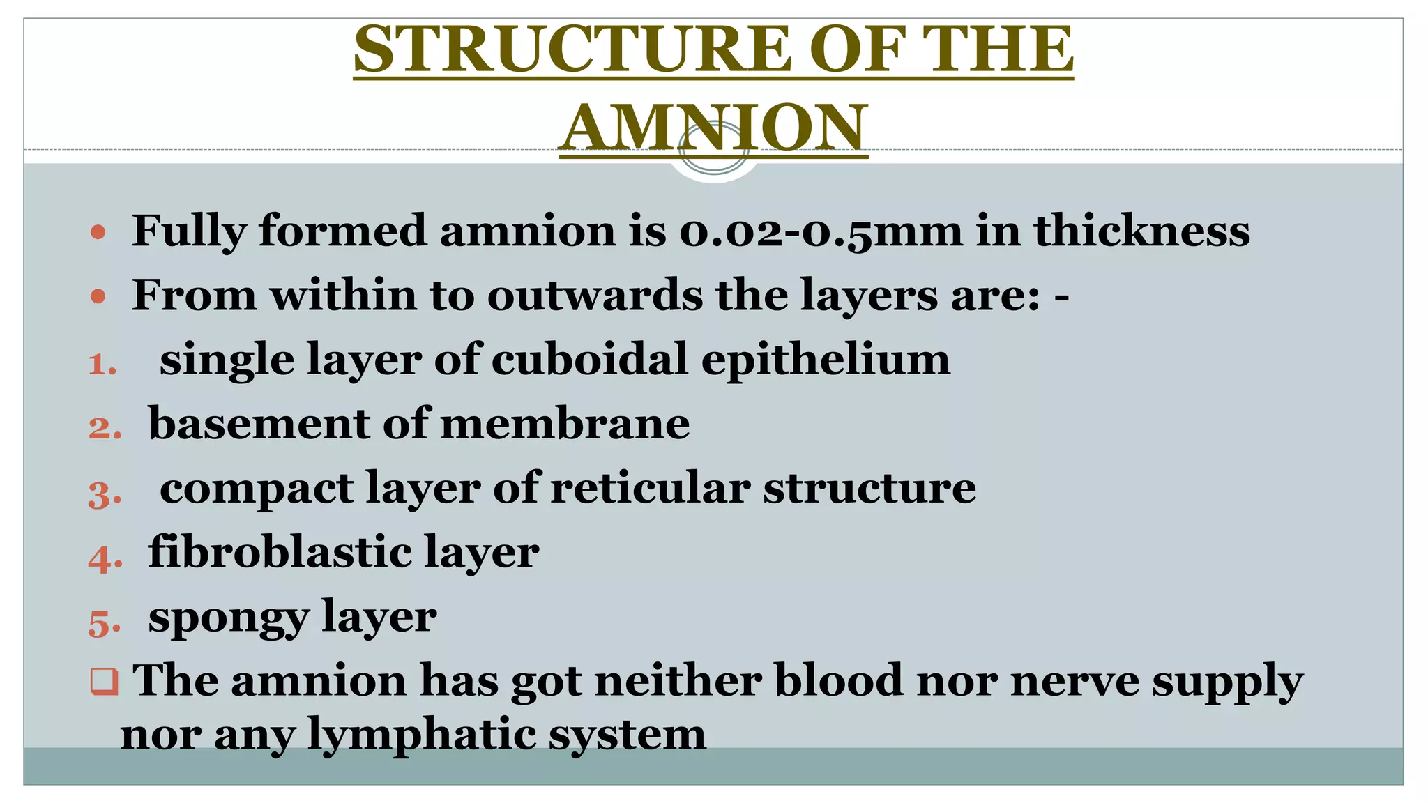 STRUCTURE OF THE
AMNION
 Fully formed amnion is 0.02-0.5mm in thickness
 From within to outwards the layers are: -
1. single layer of cuboidal epithelium
2. basement of membrane
3. compact layer of reticular structure
4. fibroblastic layer
5. spongy layer
 The amnion has got neither blood nor nerve supply
nor any lymphatic system
 