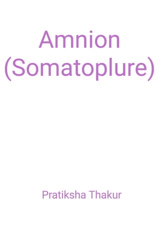 Amnion (Somatoplure) 