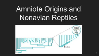 Amniote Origins and
Nonavian Reptiles
1
 