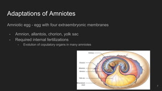 Amniote origins and nonavian reptiles | PPTX