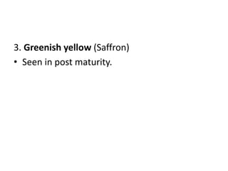 3. Greenish yellow (Saffron)
• Seen in post maturity.
 