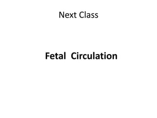Next Class
Fetal Circulation
 