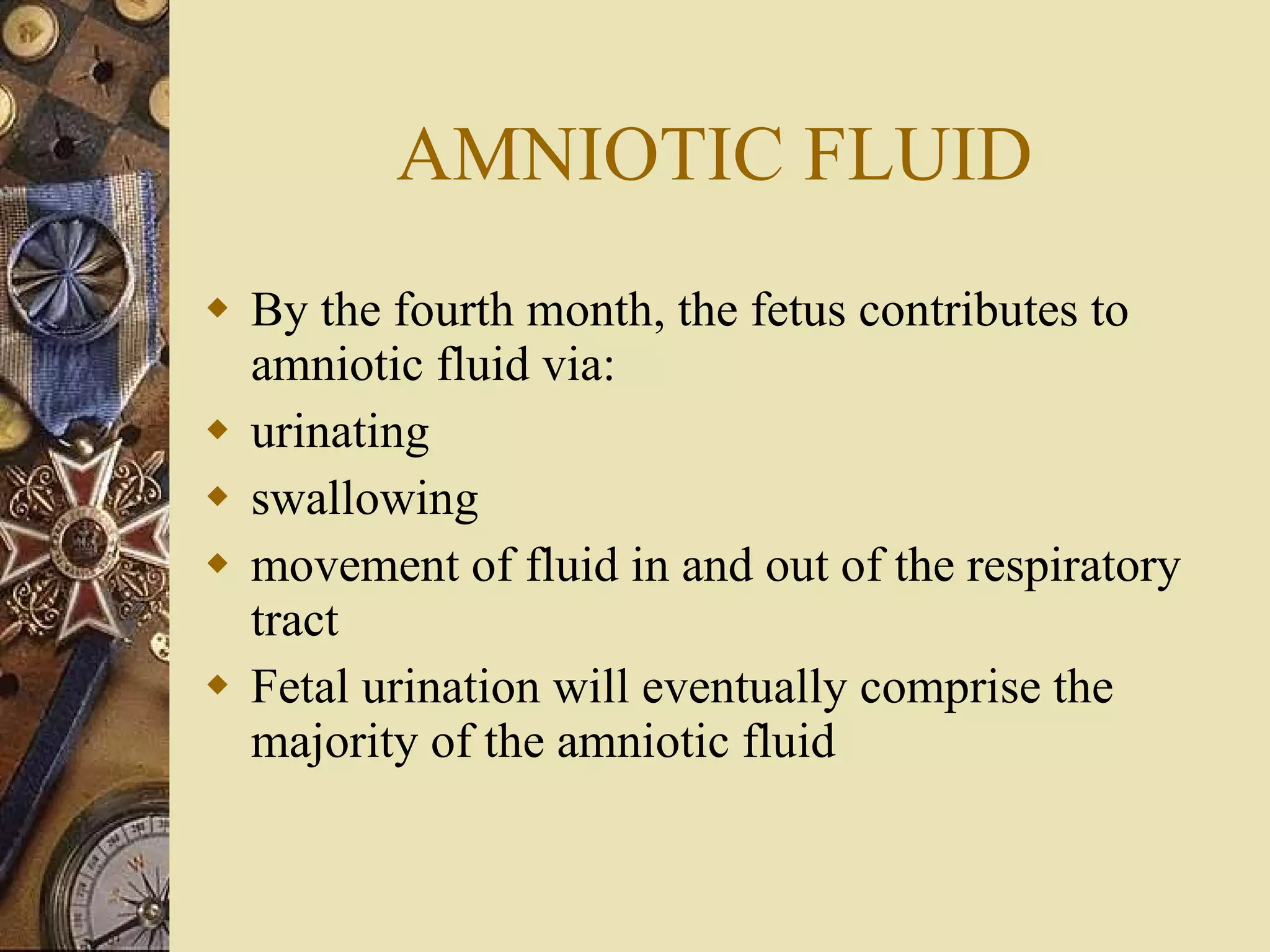AMNIOTIC FLUID By the fourth month, the fetus contributes to amniotic fluid via: urinating swallowing movement of fluid in and out of the respiratory tract Fetal urination will eventually comprise the majority of the amniotic fluid 