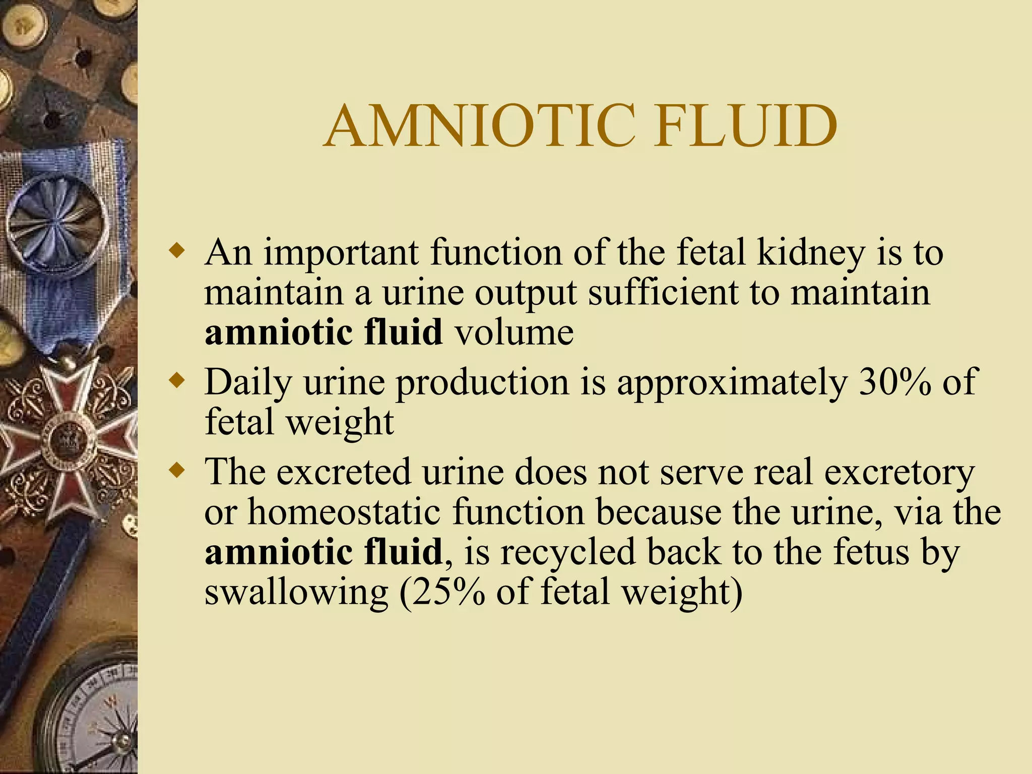 AMNIOTIC FLUID An important function of the fetal kidney is to maintain a urine output sufficient to maintain  amniotic   fluid  volume Daily urine production is approximately 30% of fetal weight The excreted urine does not serve real excretory or homeostatic function because the urine, via the  amniotic   fluid , is recycled back to the fetus by swallowing (25% of fetal weight) 