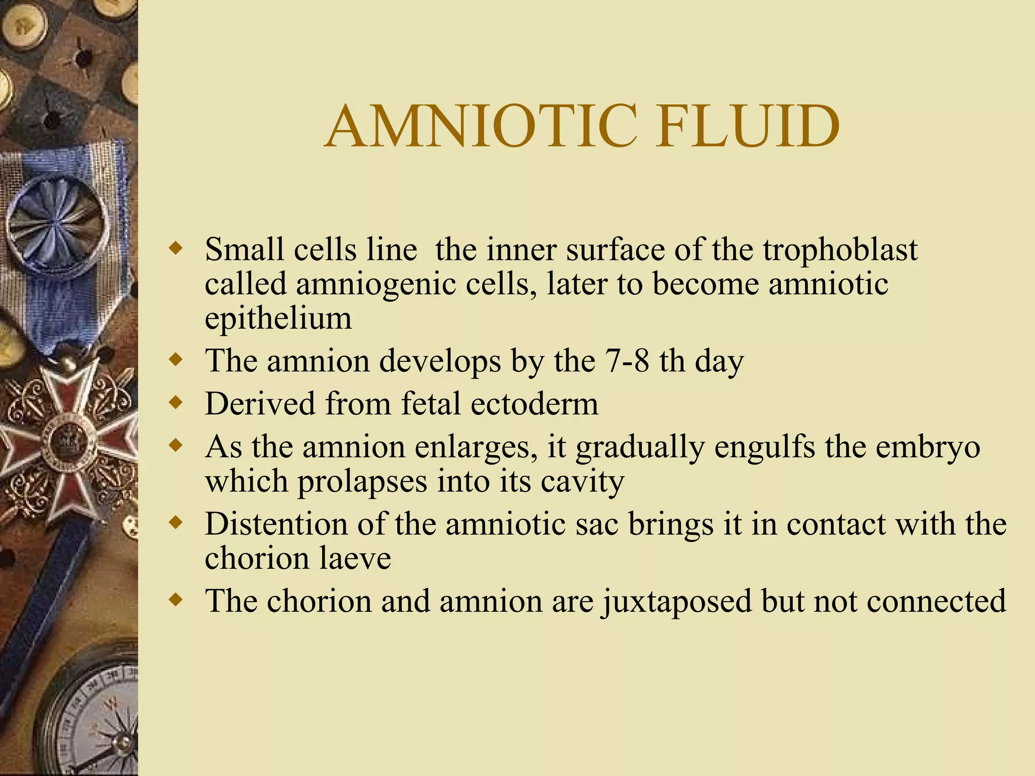 AMNIOTIC FLUID Small cells line  the inner surface of the trophoblast called amniogenic cells, later to become amniotic epithelium The amnion develops by the 7-8 th day Derived from fetal ectoderm As the amnion enlarges, it gradually engulfs the embryo which prolapses into its cavity Distention of the amniotic sac brings it in contact with the chorion laeve The chorion and amnion are juxtaposed but not connected 