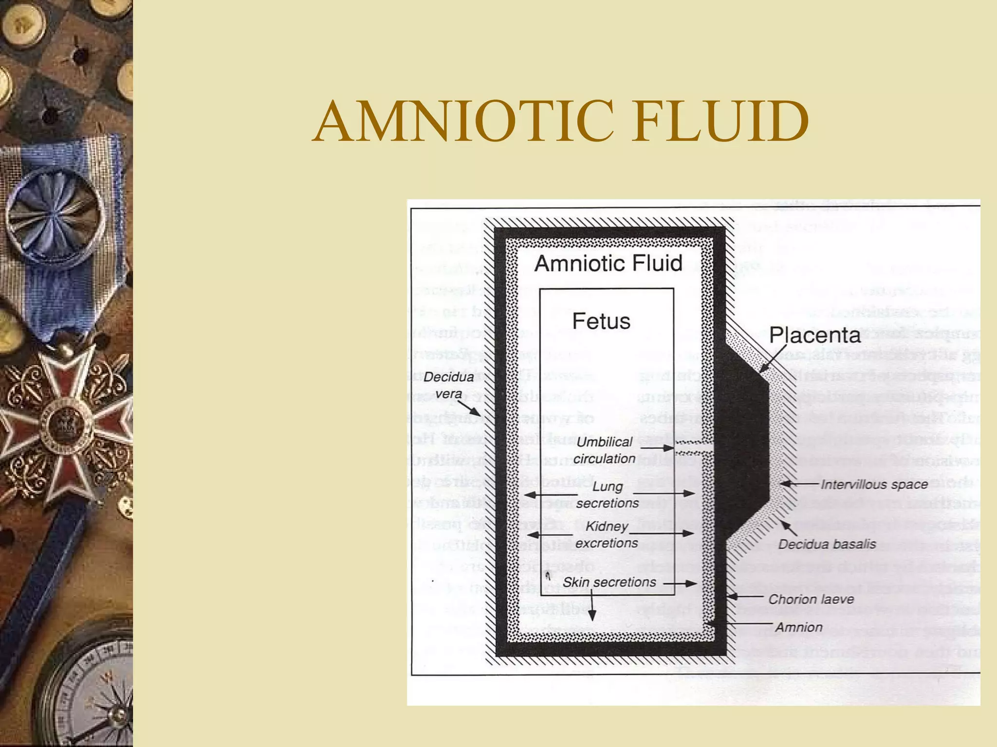 AMNIOTIC FLUID 