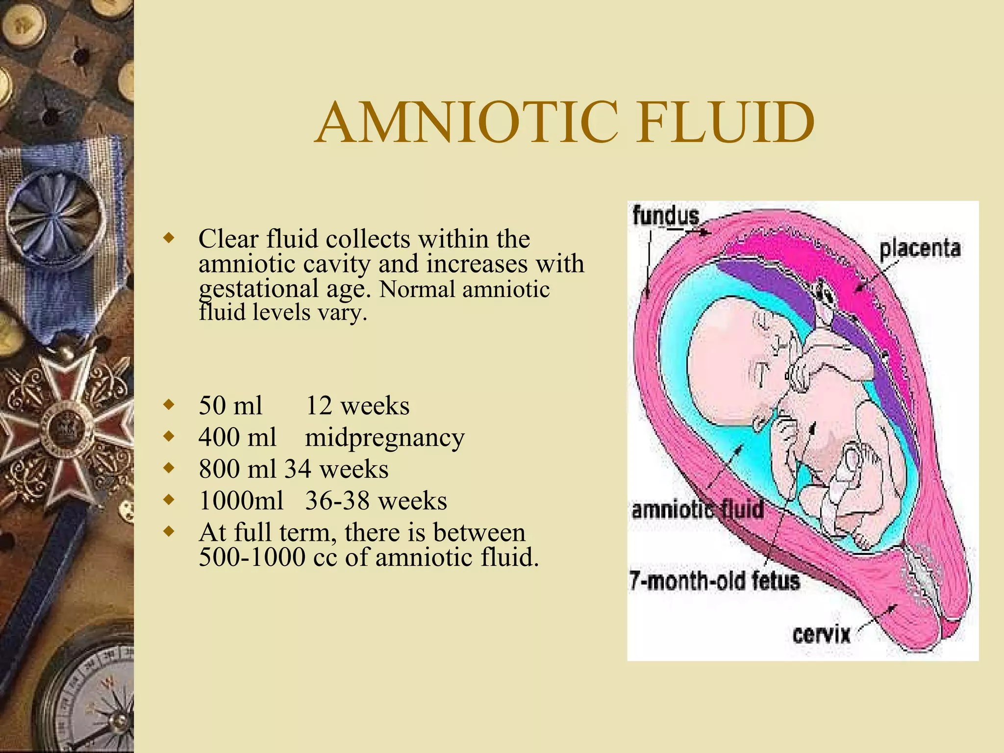 AMNIOTIC FLUID Clear fluid collects within the amniotic cavity and increases with gestational age.  Normal amniotic fluid levels vary.  50 ml  12 weeks 400 ml  midpregnancy 800 ml 34 weeks 1000ml  36-38 weeks At full term, there is between 500-1000 cc of amniotic fluid.  