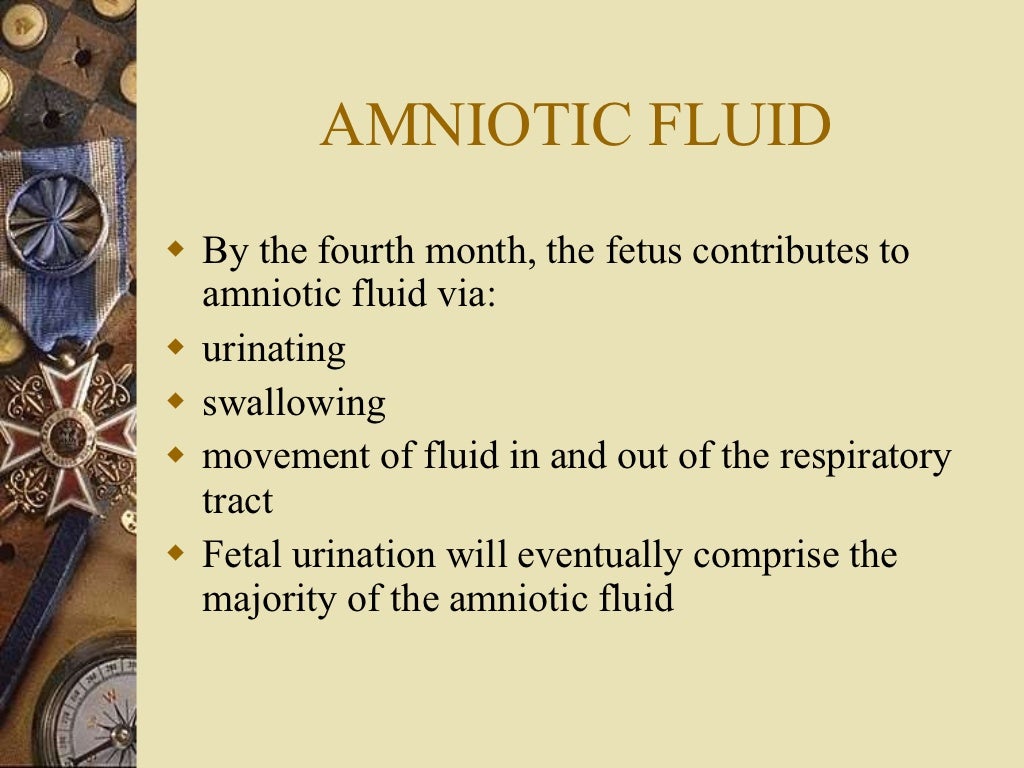 Amniotic fluid