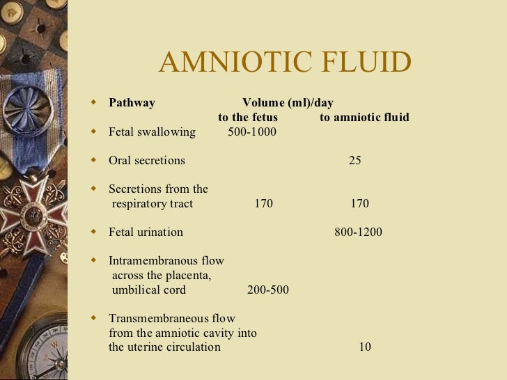 amniotic fluid function amniotic fluid function