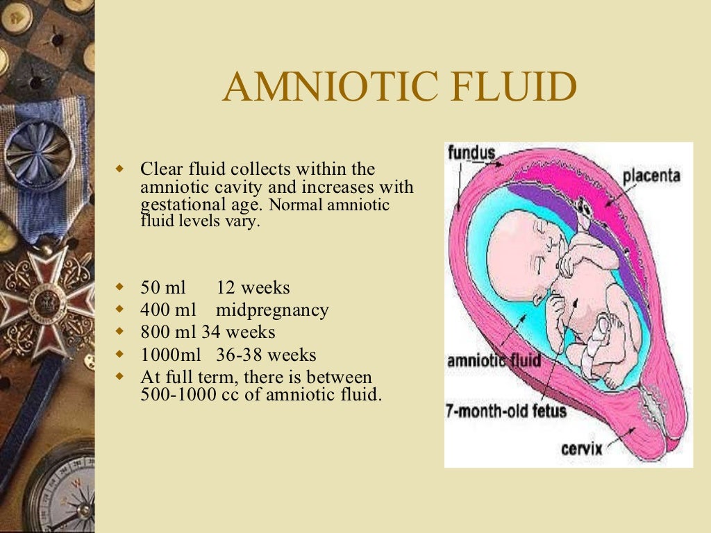 Amniotic Fluid Measurement Chart