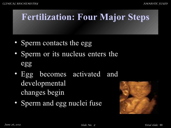 High amniotic fluid levels cablejulu