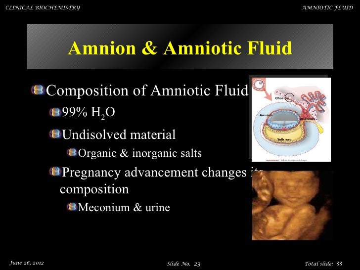Amniotic fluid