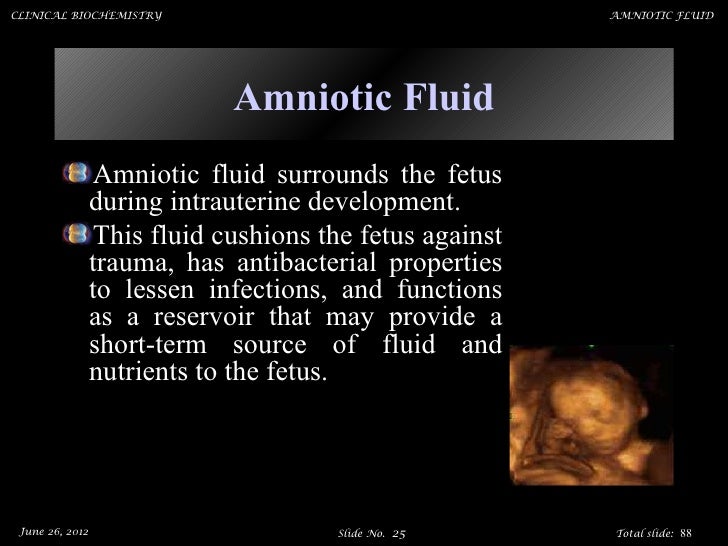 Amniotic fluid