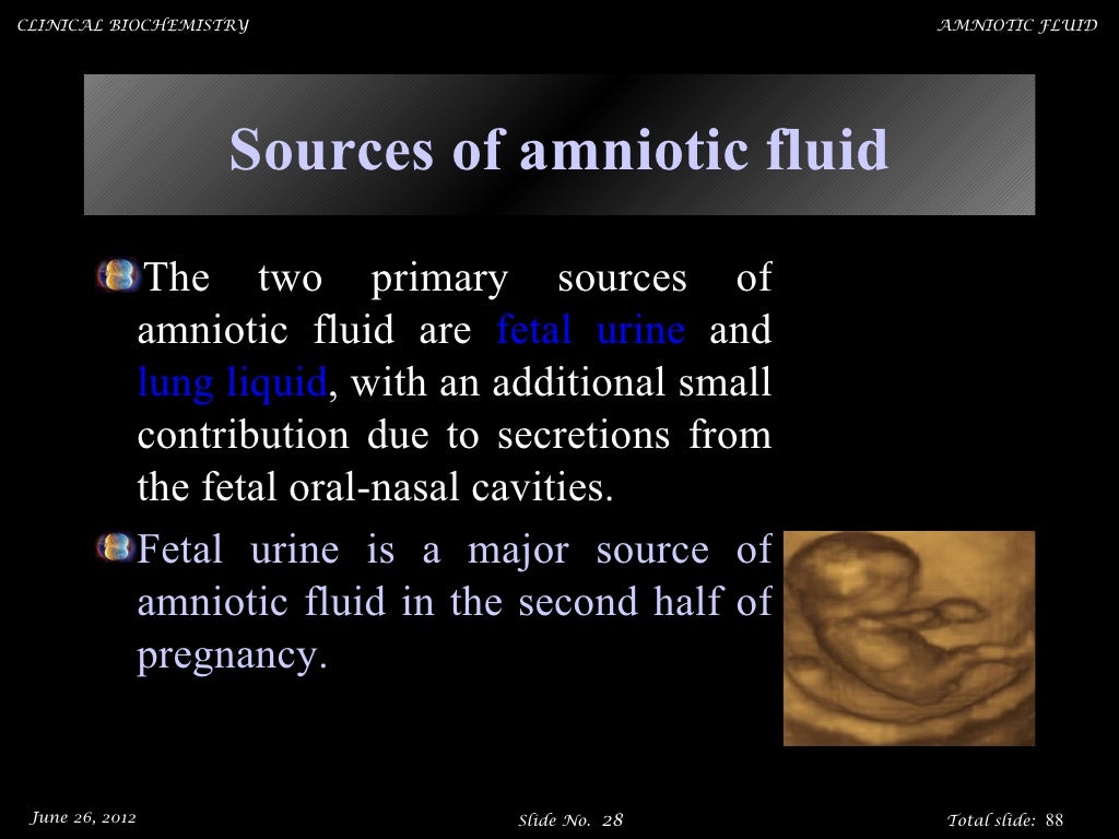 Amniotic fluid