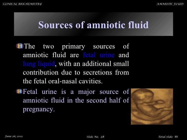 Amniotic fluid