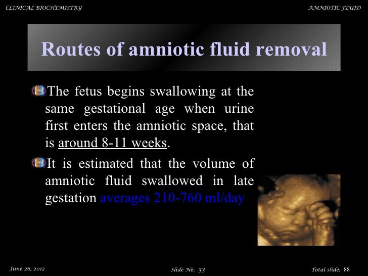 Amniotic fluid
