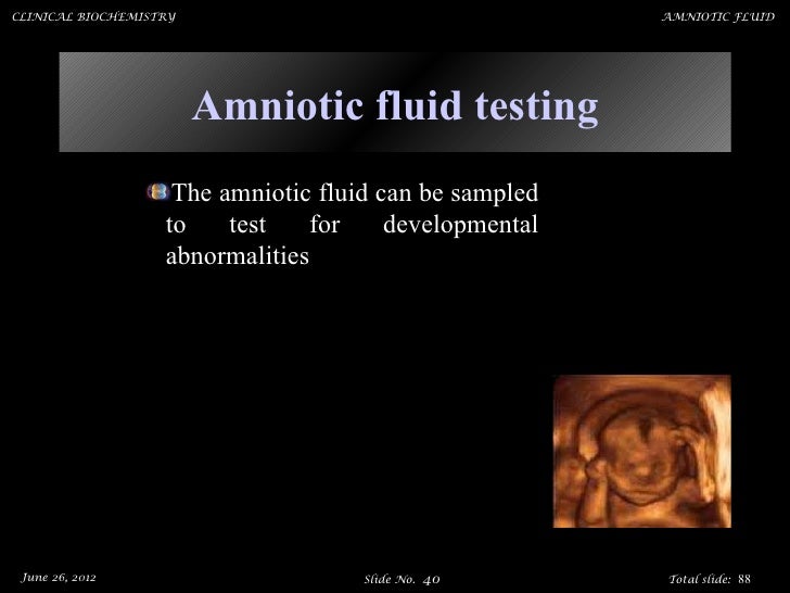 amniotic fluid test